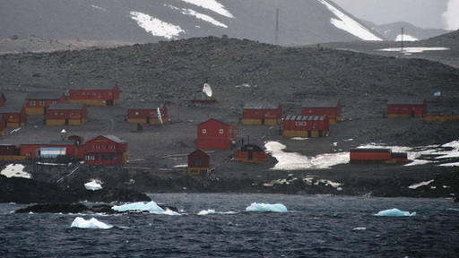 Erderwärmung: Wärmster Tag in Antarktis | tagesschau.de